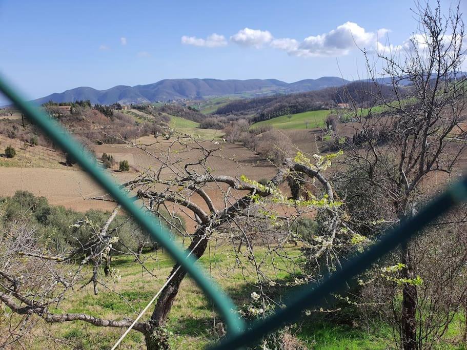 ApiroLa Quiete Tra Le Montagneアパートメント エクステリア 写真