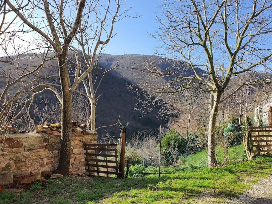 ApiroLa Quiete Tra Le Montagneアパートメント エクステリア 写真